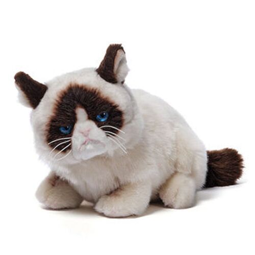 Grumpy Cat