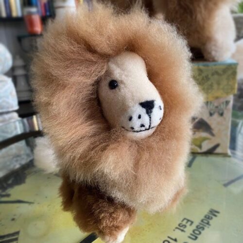 Small Lion