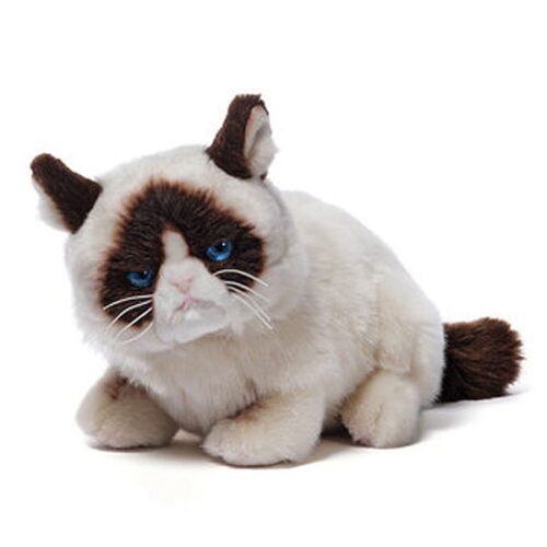 Grumpy Cat