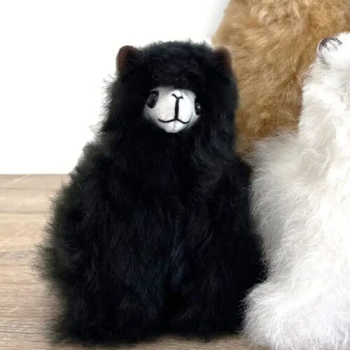 Micro Black Alpaca