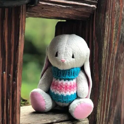 Bunny in a Sweater