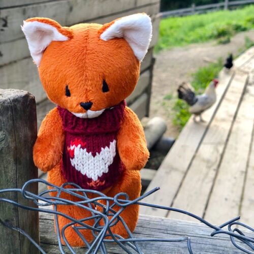 Fox in A Chicken Sweater