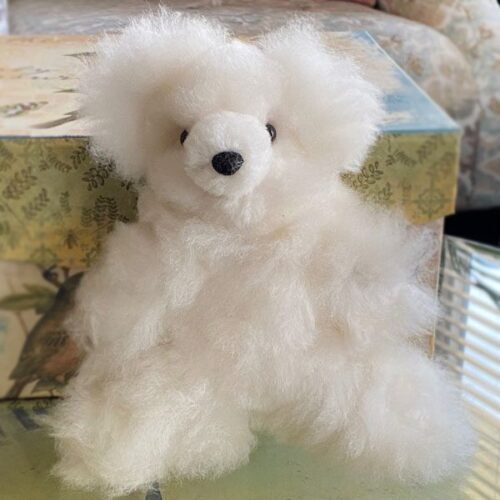 Small White Bear