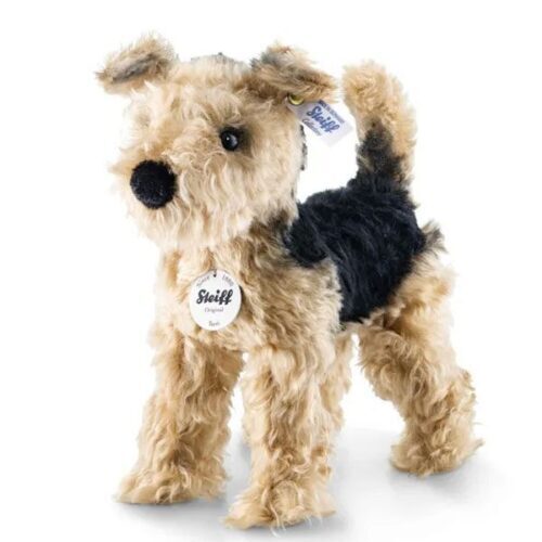 Terri Welsh Terrier