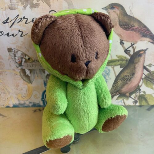 Teddy Bear in A Frog Costume