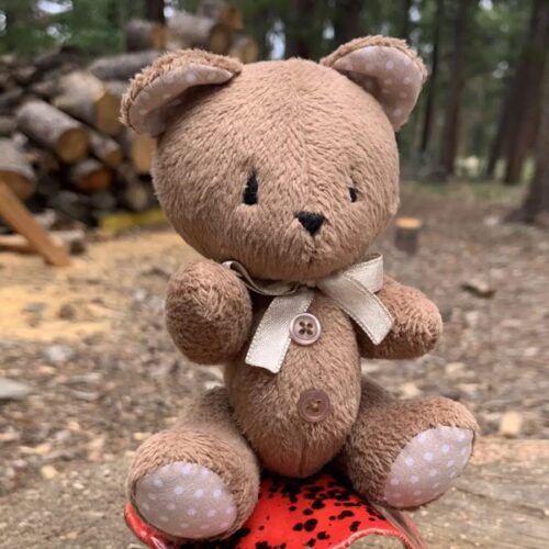 Teddy Bear in Light Brown