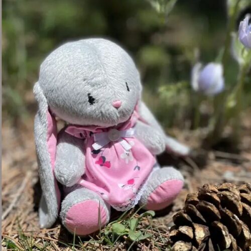 Bunny in Flower Dress