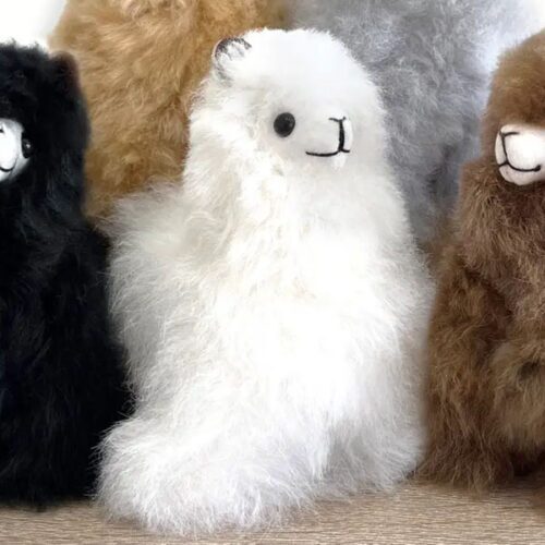 Micro White Alpaca