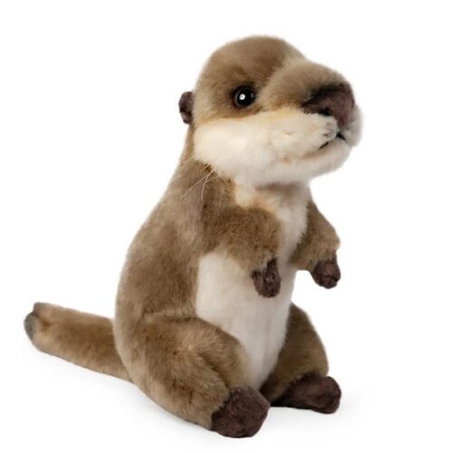 Otter Cub Plush