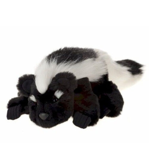 Pongo