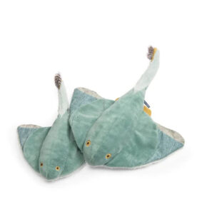 Ray Fish