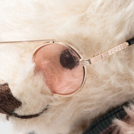 Elton John Bear - Image 6