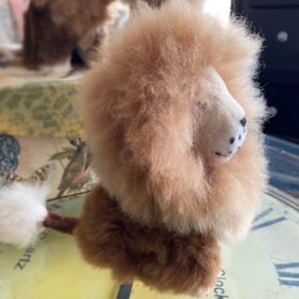 Small Lion