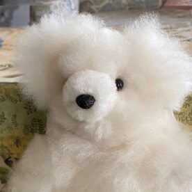Small White Bear