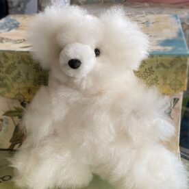 Small White Bear