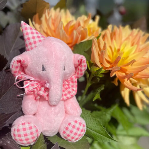 Elephant in pink