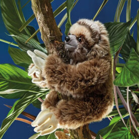 Sloth Plush